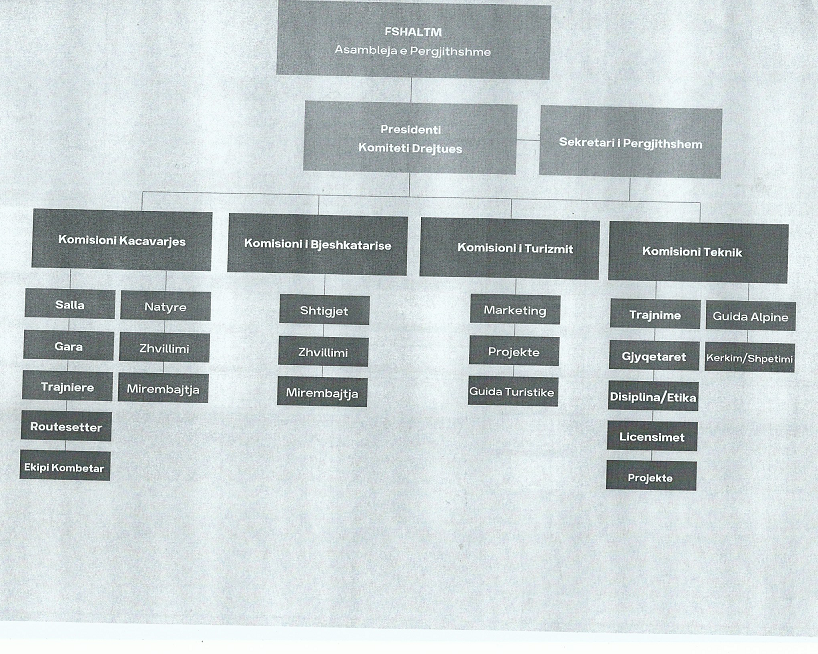 13 Organograma FSHALTM