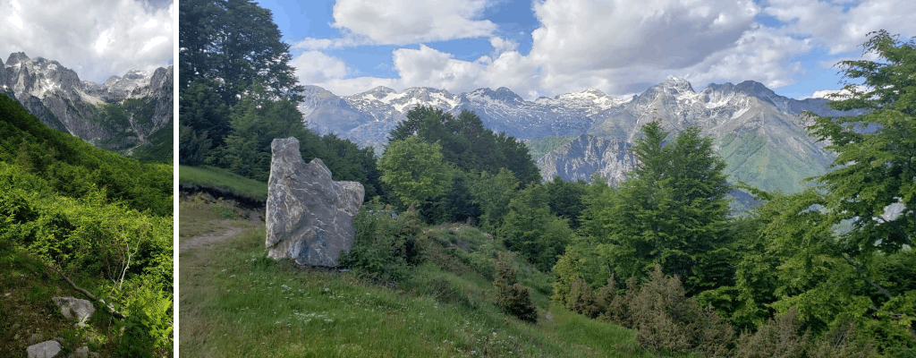 c12