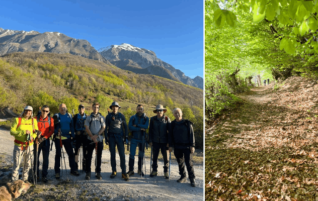 sh1-2